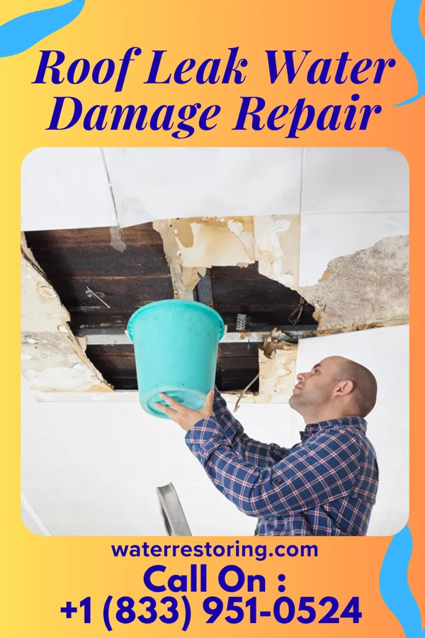 Roof Leak Water Damage Repair in Patterson, IA