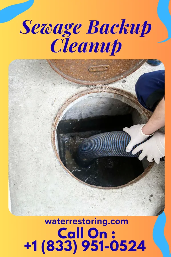Sewage Backup Cleanup in Patterson, IA